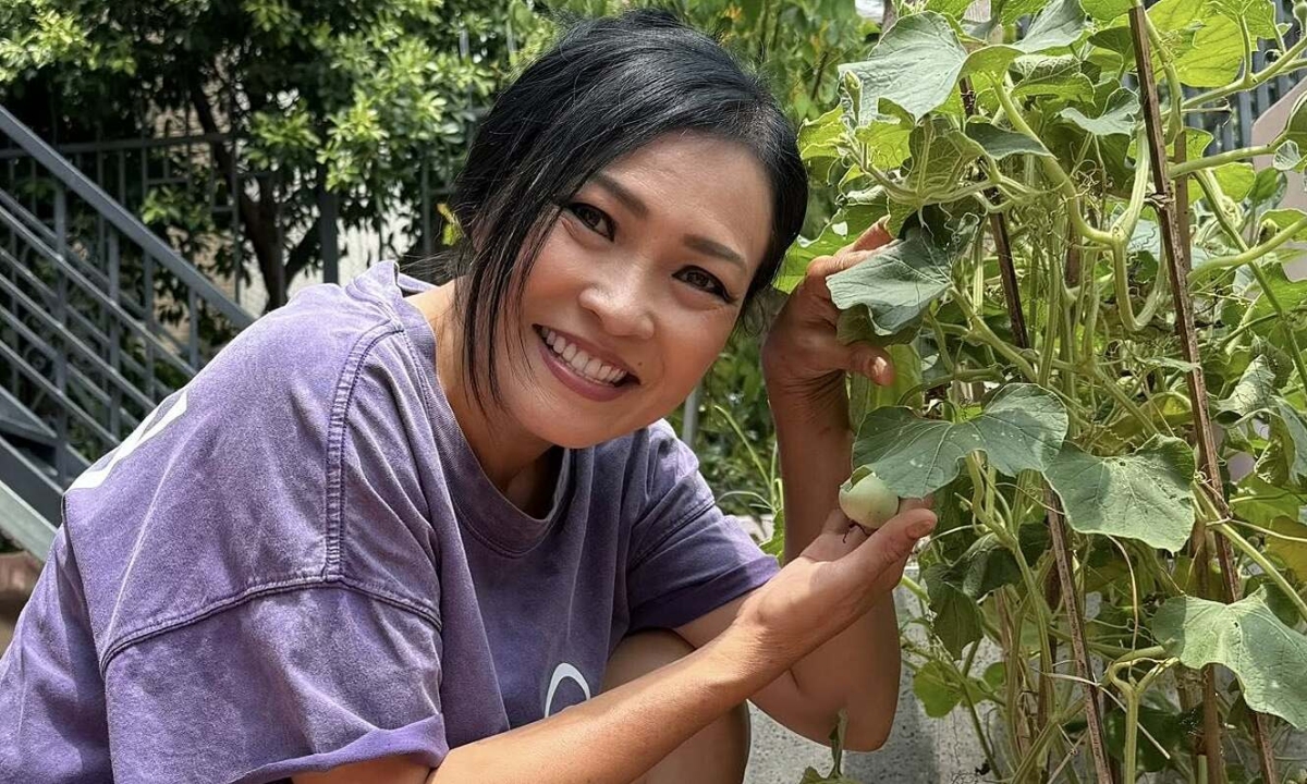 Thưởng đăng ký NEW88 và cảm hứng sống xanh từ vườn rau sân thượng của Phương Thanh - hình ảnh - new88pg.vip