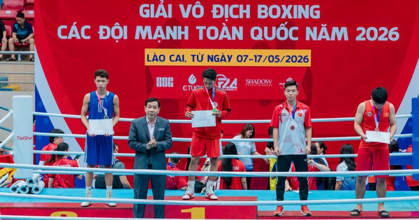 Liên đoàn Quyền anh Việt Nam bị tố bầu cử sai quy định – NEW88 cập nhật nóng - hình ảnh - new88pg.vip