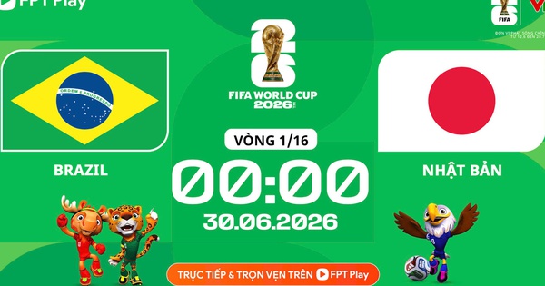 Nhận định Brazil vs Nhật Bản: Trận cầu nghẹt thở và cơ hội trải nghiệm NEW88 đổi thưởng - hình ảnh - new88pg.vip Nhận định Brazil vs Nhật Bản: Trận cầu nghẹt thở và cơ hội trải nghiệm NEW88 đổi thưởng - hình ảnh - new88pg.vip
