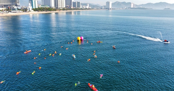 Link vào nhà cái NEW88 – Đồng hành cùng sự kiện bơi biển SeaStar Nha Trang Bay 2026 - hình ảnh - new88pg.vip